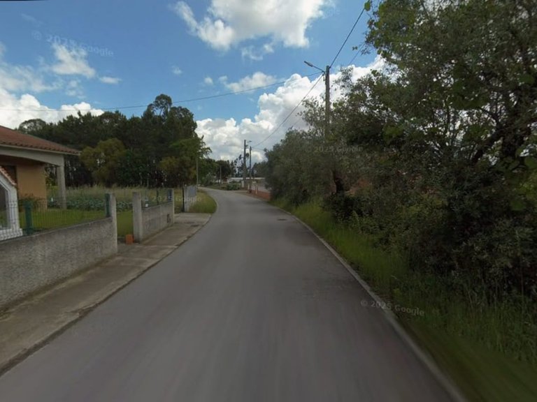 Plot for Sale in São Lourenço Do Bairro, Aveiro 5