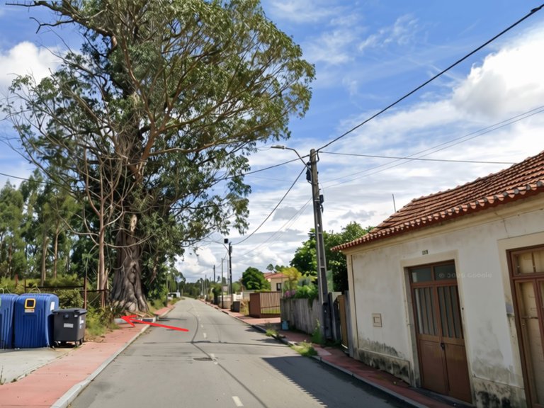 Plot for Sale in São João, Aveiro 3