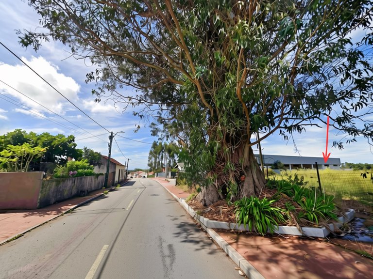 Plot for Sale in São João, Aveiro 4