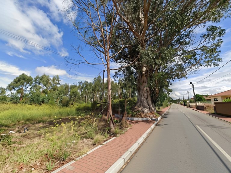 Plot for Sale in São João, Aveiro 5