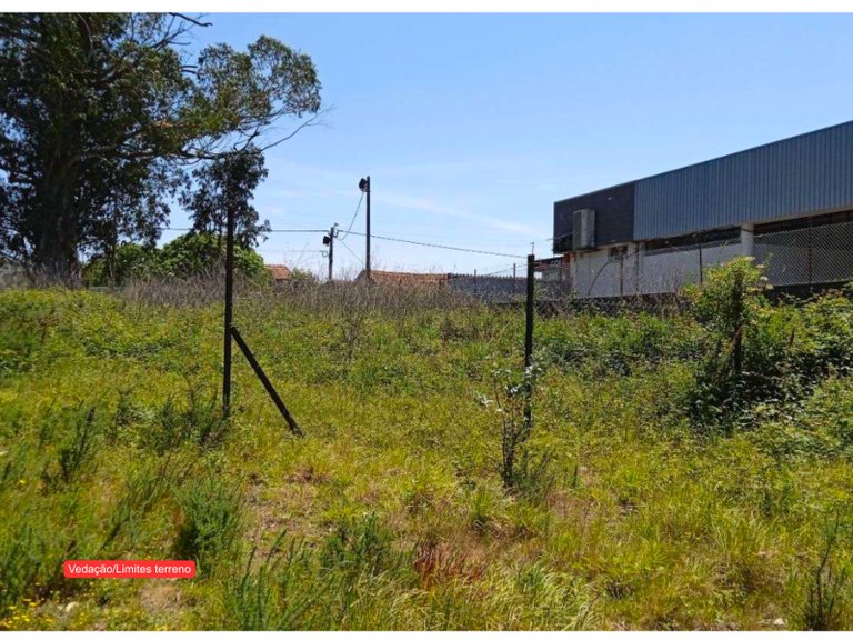 Plot for Sale in São João, Aveiro 7