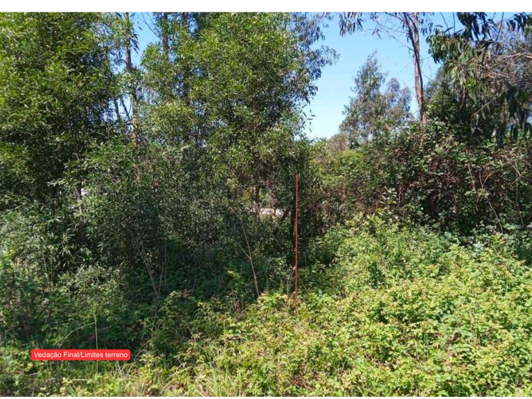 Plot for Sale in São João, Aveiro 8