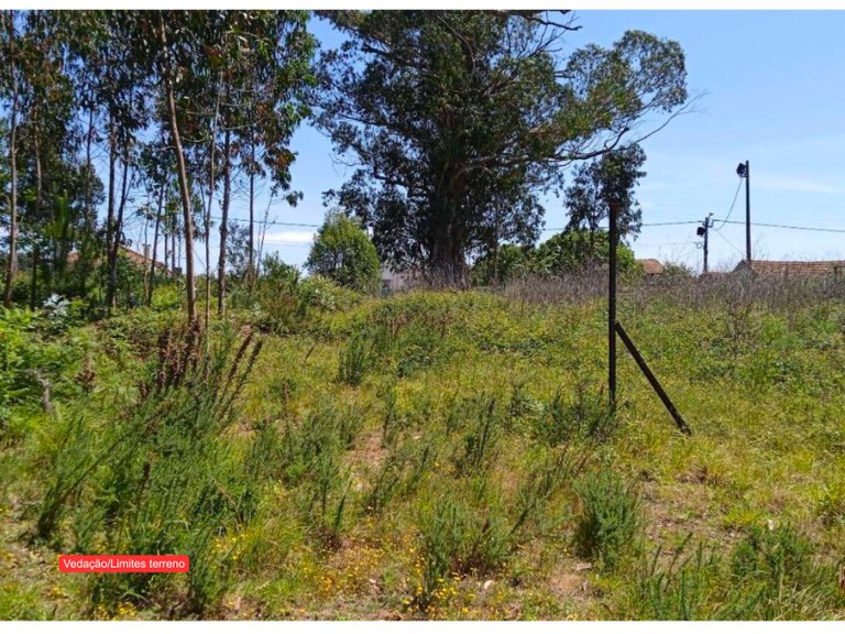 Plot for Sale in São João, Aveiro 9