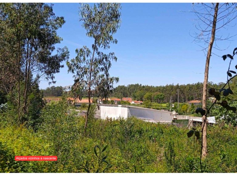 Plot for Sale in São João, Aveiro 10
