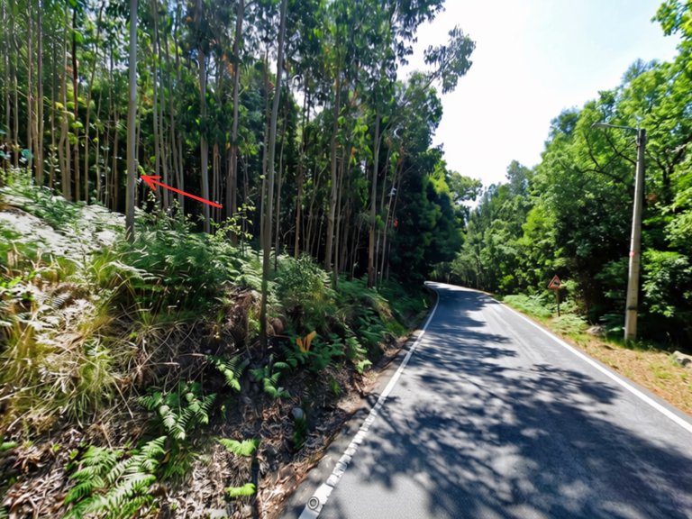Country House for Sale in Santo Tirso, Couto (s.cristina E S.miguel) E Burgães, Porto 4