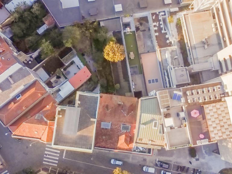 Commercial for Sale in Lordelo Do Ouro E Massarelos, Porto 3