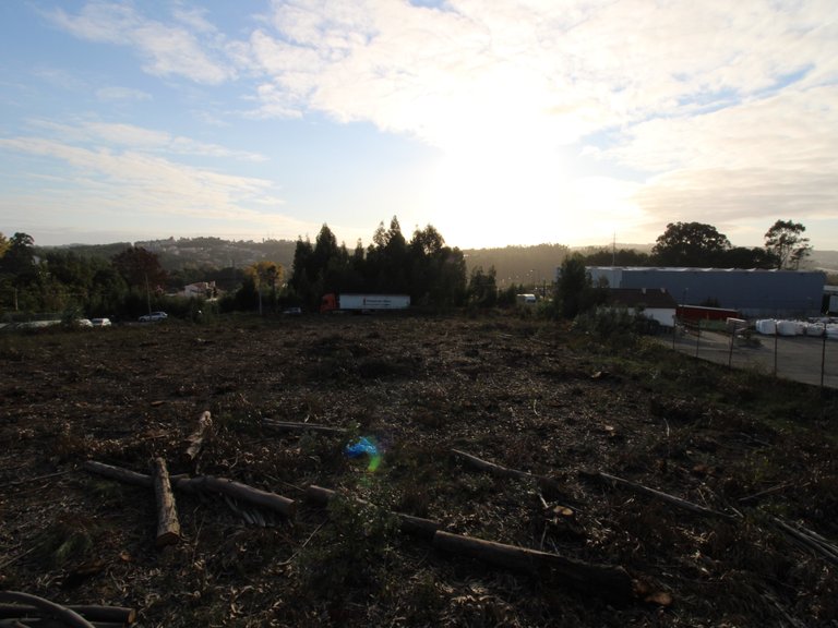 Industrial Land for Sale in Avintes, Porto 8