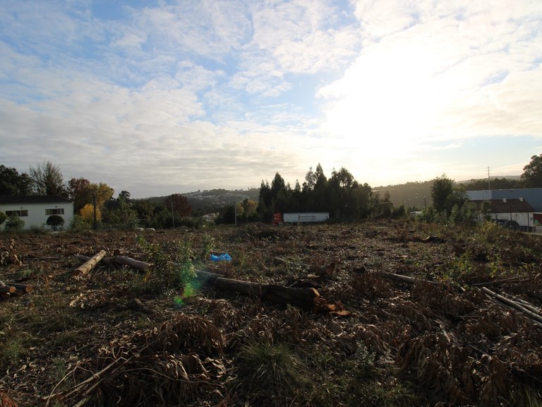 Industrial Land for Sale in Avintes, Porto 18