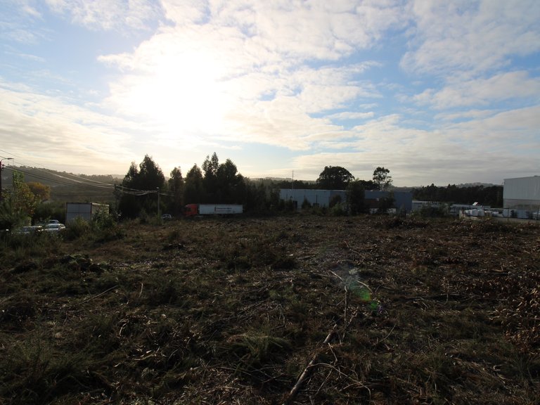 Industrial Land for Sale in Avintes, Porto 19