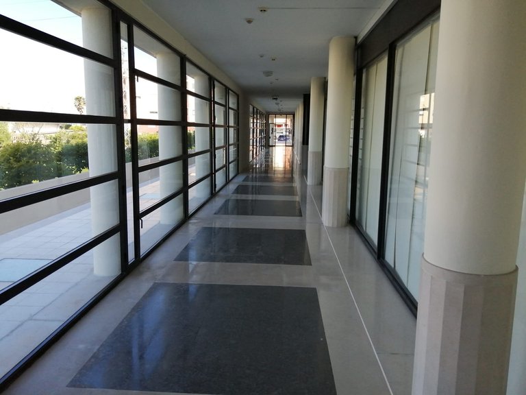 Commercial for Rent in Perafita, Porto 5