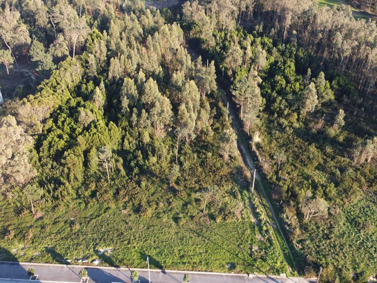 Plot for Sale in Lavra, Porto 4