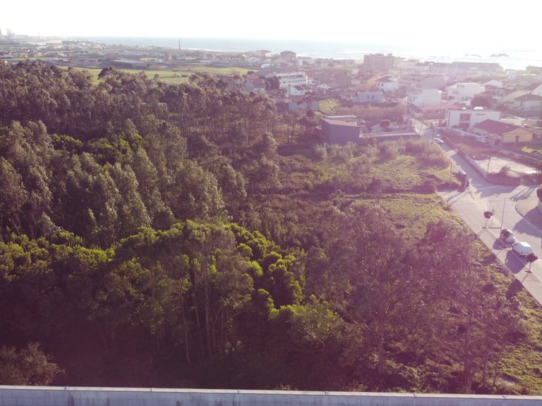 Plot for Sale in Lavra, Porto 1