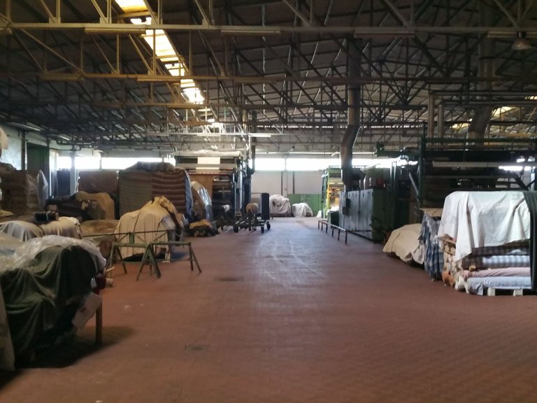 Commercial for Sale in Aves, Porto 5