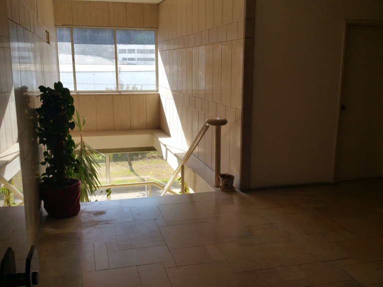 Commercial for Sale in Aves, Porto 14
