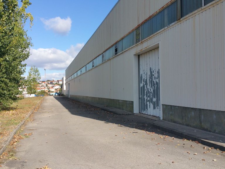Commercial for Sale in Aves, Porto 3