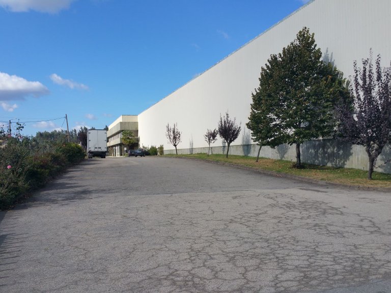 Commercial for Sale in Aves, Porto 19