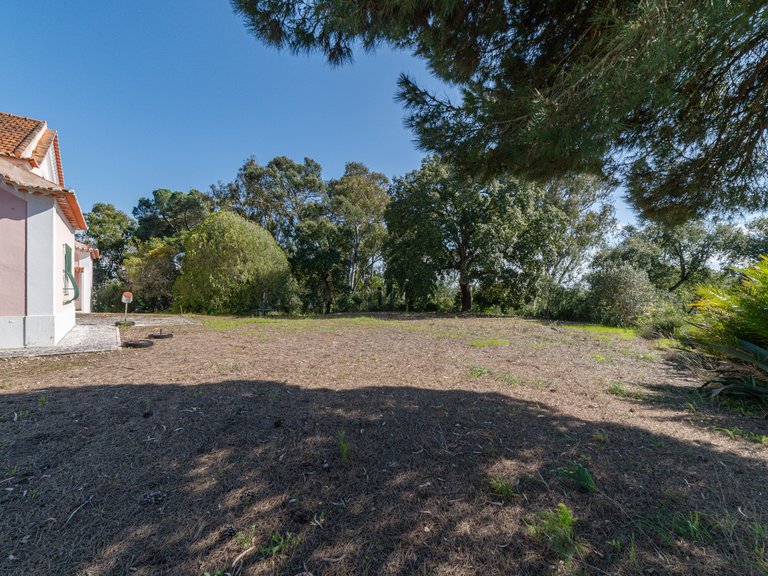 Country House for Sale in Cidade De Santarém, Santarém 51