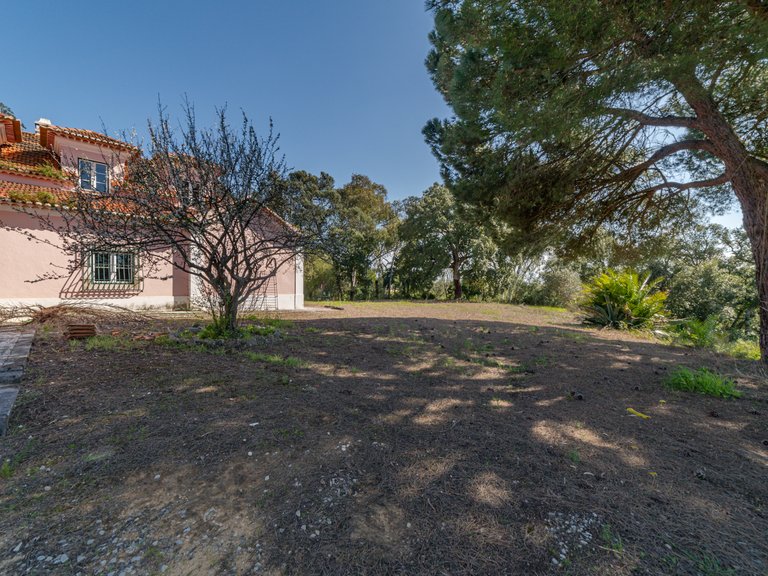 Country House for Sale in Cidade De Santarém, Santarém 52