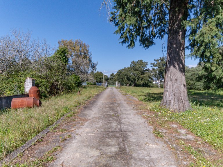 Country House for Sale in Cidade De Santarém, Santarém 59