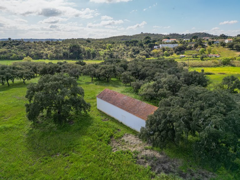 Country House for Sale in Cidade De Santarém, Santarém 79