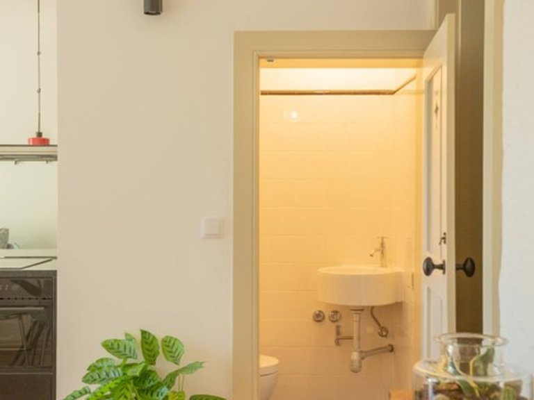 Commercial for Sale in Cedofeita, Santo Ildefonso, Sé, Miragaia, São Nicolau e Vitória, Porto, Porto 5