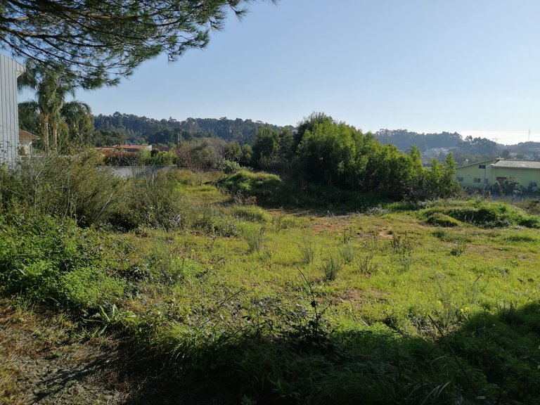 Plot for Sale in Anta e Guetim, Espinho, Aveiro 1