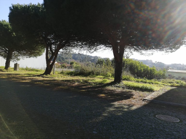 Plot for Sale in Anta e Guetim, Espinho, Aveiro 7