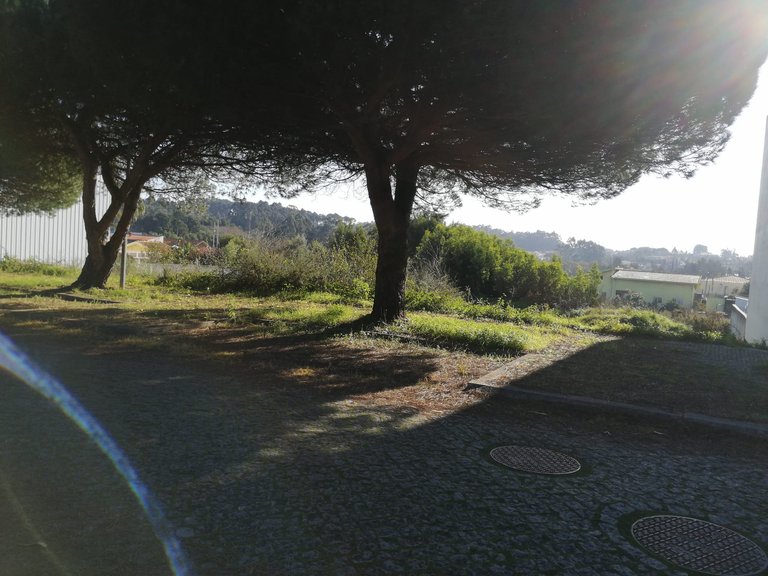Plot for Sale in Anta e Guetim, Espinho, Aveiro 8