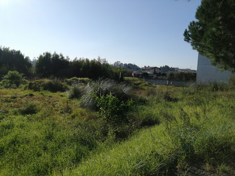 Plot for Sale in Anta e Guetim, Espinho, Aveiro 17