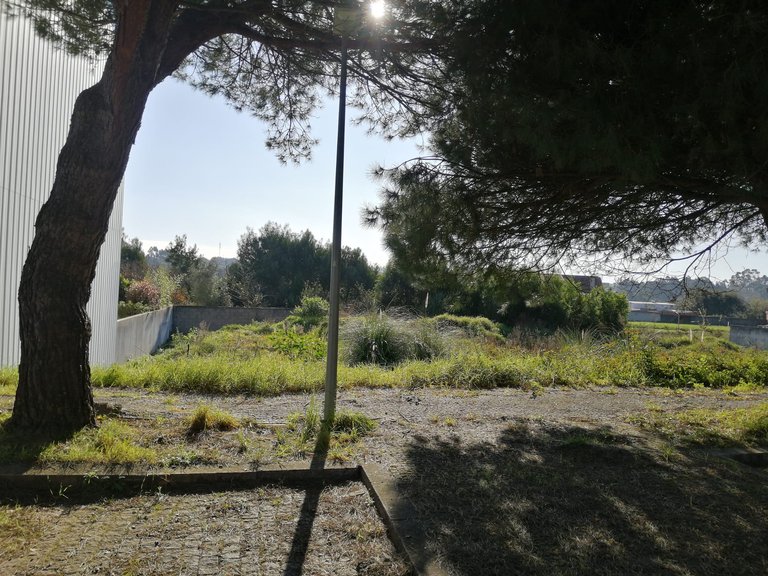 Plot for Sale in Anta e Guetim, Espinho, Aveiro 18