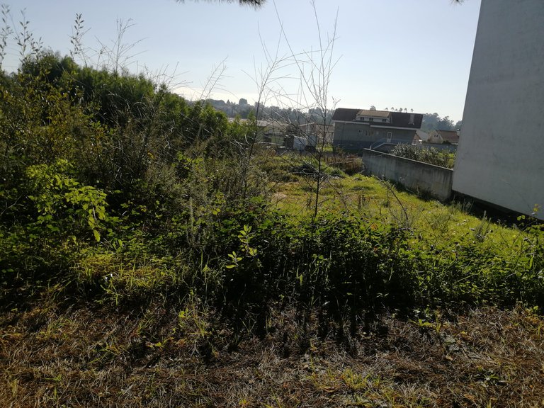 Plot for Sale in Anta e Guetim, Espinho, Aveiro 13