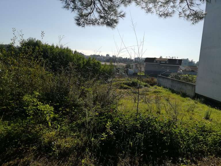 Plot for Sale in Anta e Guetim, Espinho, Aveiro 14