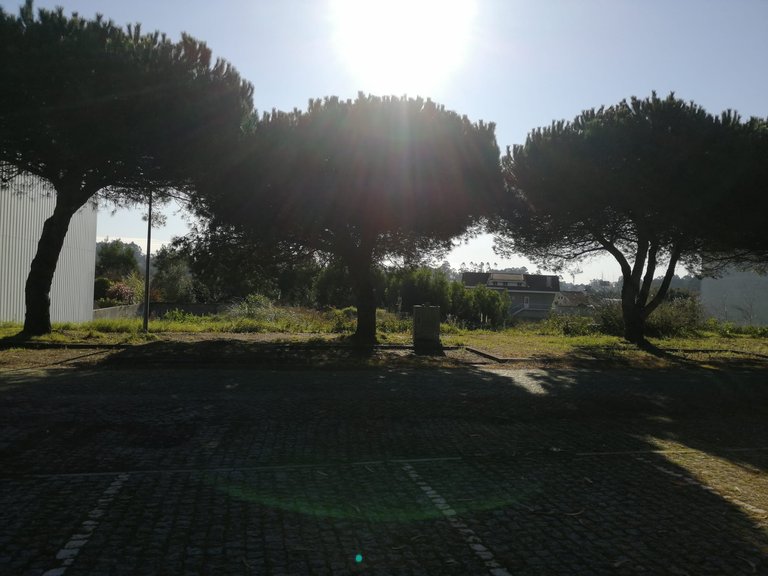 Plot for Sale in Anta e Guetim, Espinho, Aveiro 4