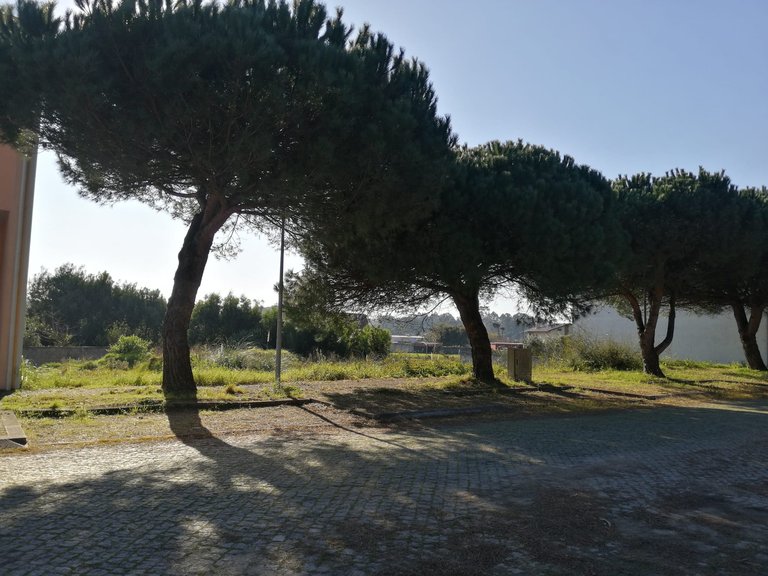 Plot for Sale in Anta e Guetim, Espinho, Aveiro 5