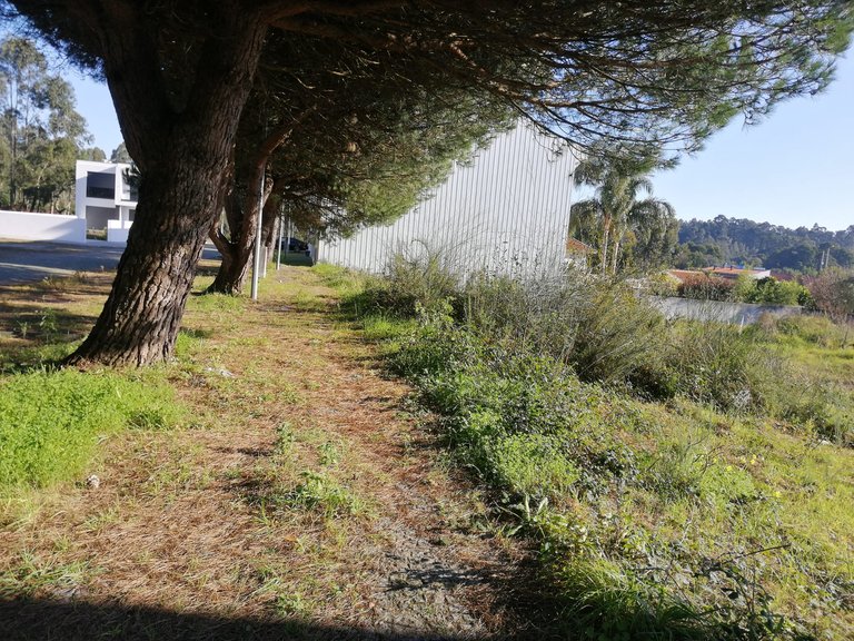 Plot for Sale in Anta e Guetim, Espinho, Aveiro 11