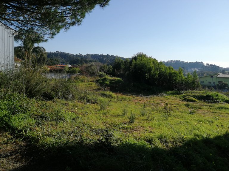 Plot for Sale in Anta e Guetim, Espinho, Aveiro 12