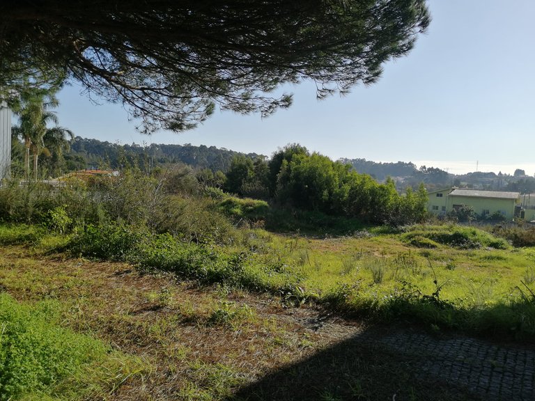 Plot for Sale in Anta e Guetim, Espinho, Aveiro 15