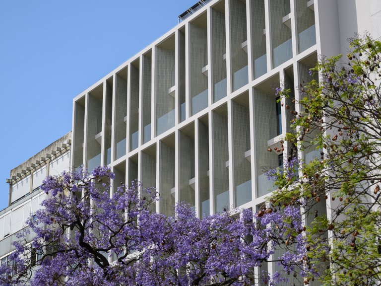 Apartment for Sale in Avenidas Novas, Lisboa, Lisbon, Portugal 33