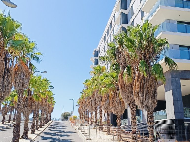Apartment for Sale in Avenidas Novas, Lisboa, Lisbon, Portugal 35