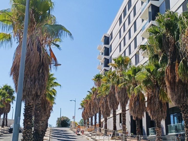 Apartment for Sale in Avenidas Novas, Lisboa, Lisbon, Portugal 34