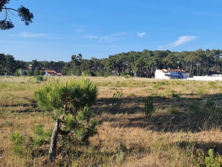Plot for Sale in Sesimbra (Castelo), Sesimbra, Setúbal, Portugal 10