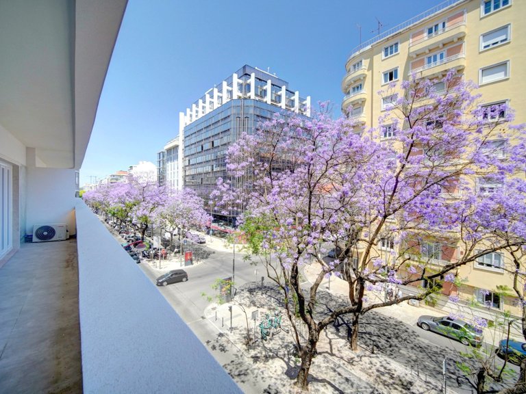 Apartment for Sale in Avenidas Novas, Lisboa, Lisbon, Portugal 12