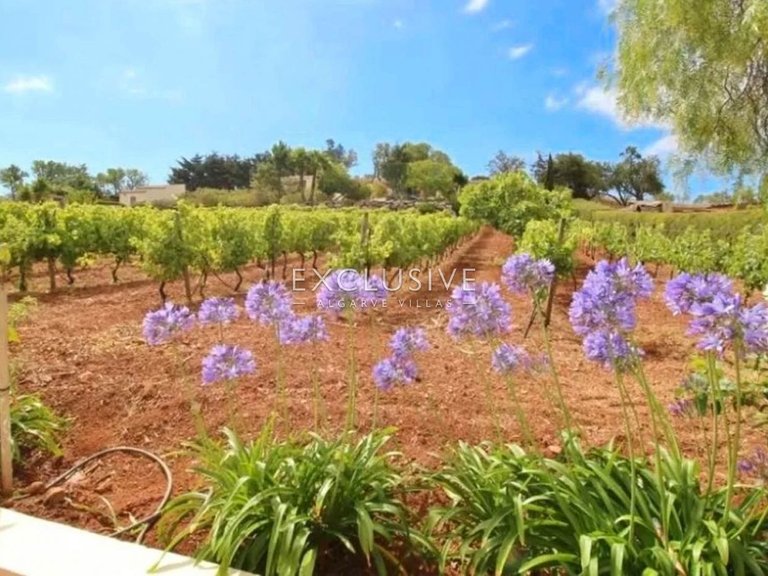 Plot for Sale in Praia Da Luz, Algarve 17