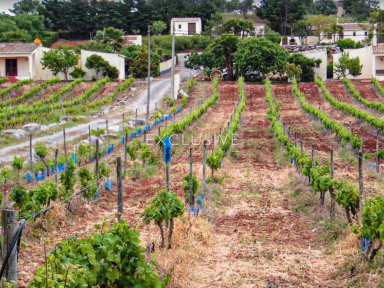 Plot for Sale in Praia Da Luz, Algarve 18