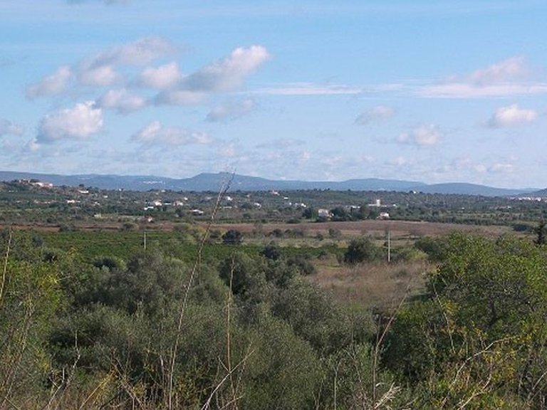 Plot for Sale in Silves, Algarve 9