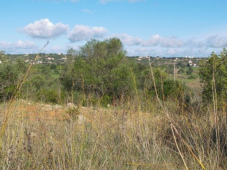 Plot for Sale in Silves, Algarve 1