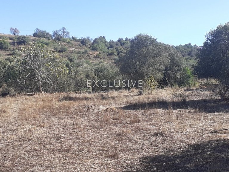Plot for Sale in Silves, Algarve 12