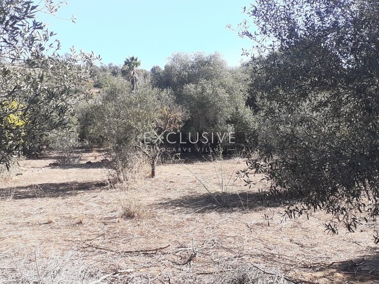Plot for Sale in Silves, Algarve 13