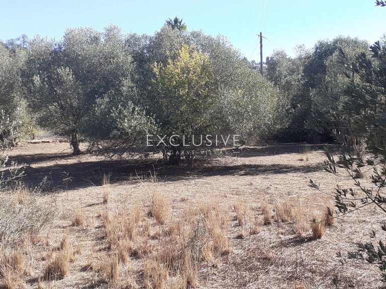 Plot for Sale in Silves, Algarve 14