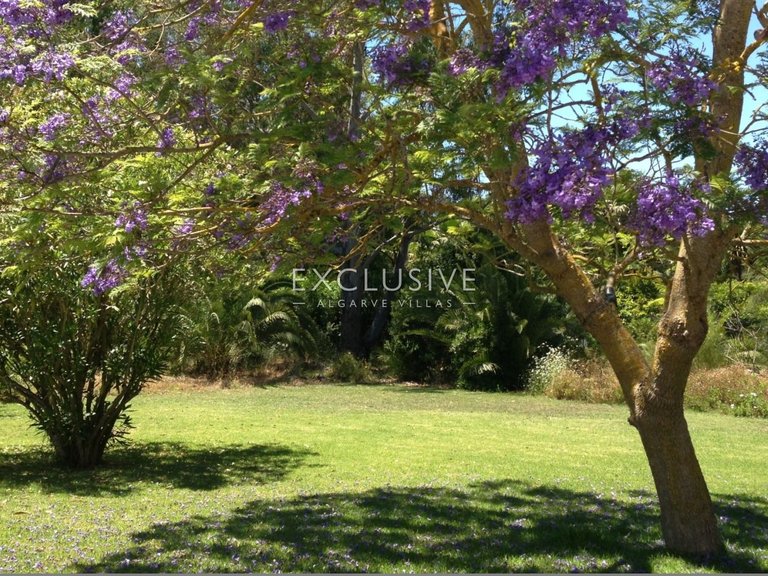 Villa for Sale in PortimÃo, Algarve 12